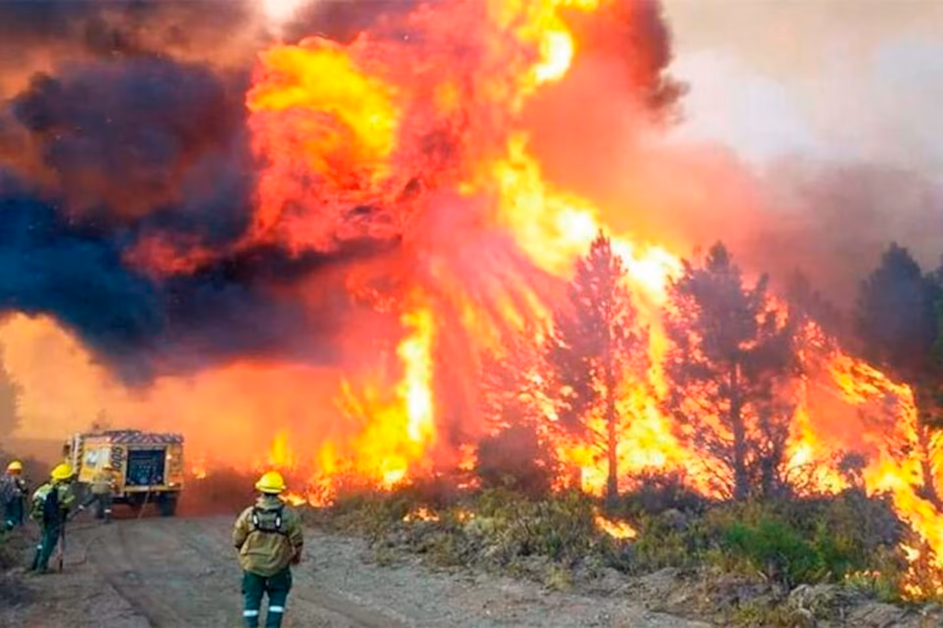 Incendios en la Patagonia