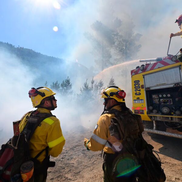 Chubut incendio forestal
