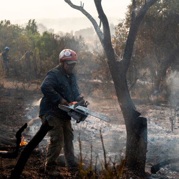 El fuego en los Parques Nacionales