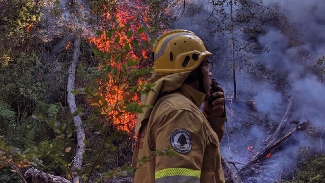 Parque Nacional Los Alerces