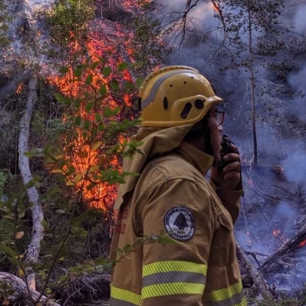 Parque Nacional Los Alerces
