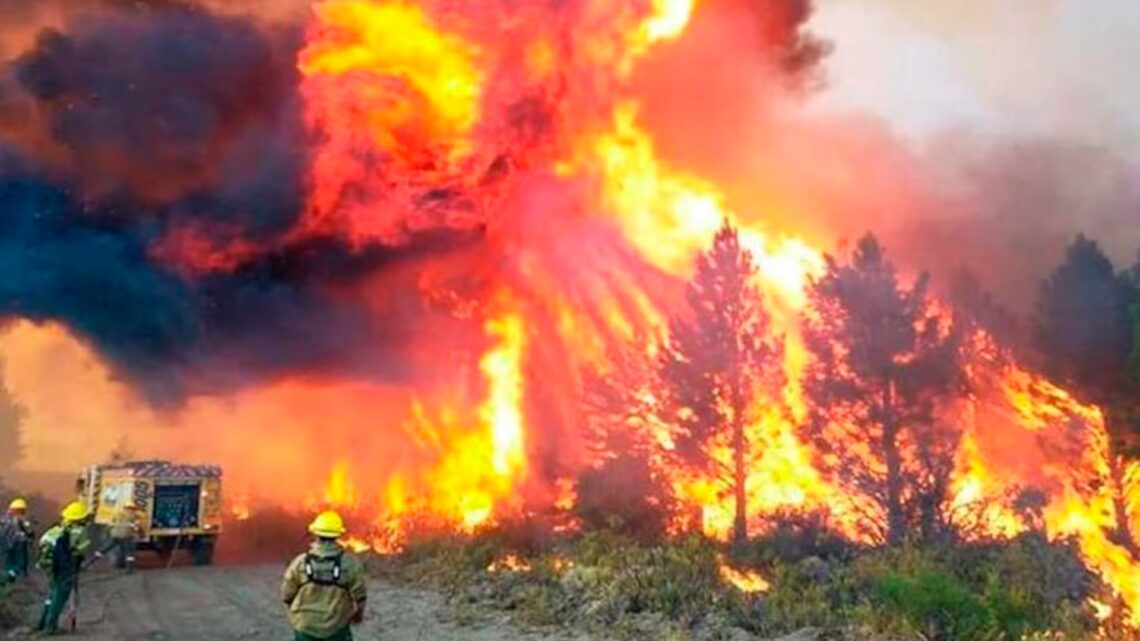Castigada por los incendios