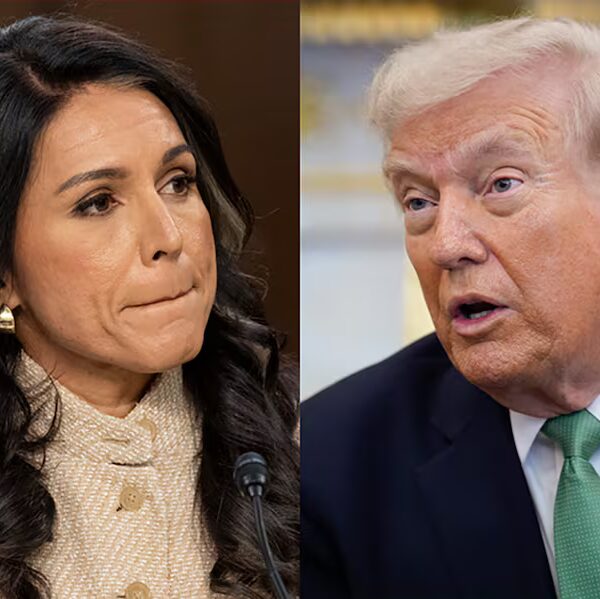 Gabbard contradice los argumentos de Trump
