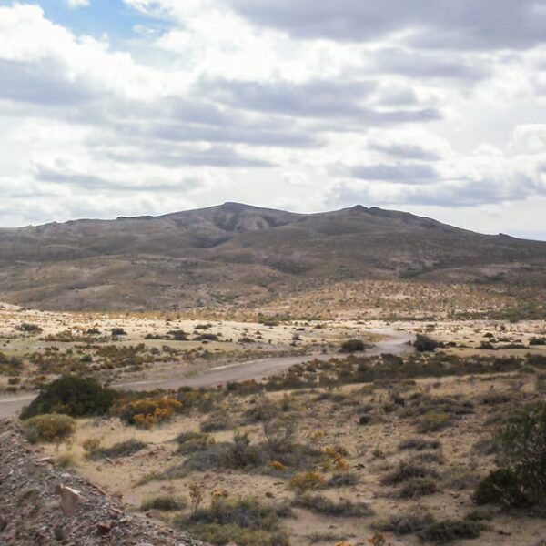 La tierra prometida