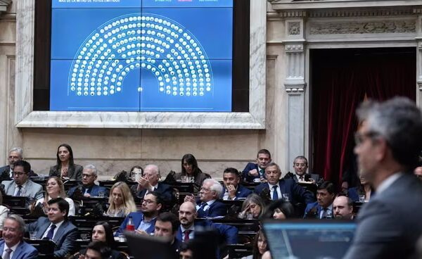 Discapacidad en Diputados